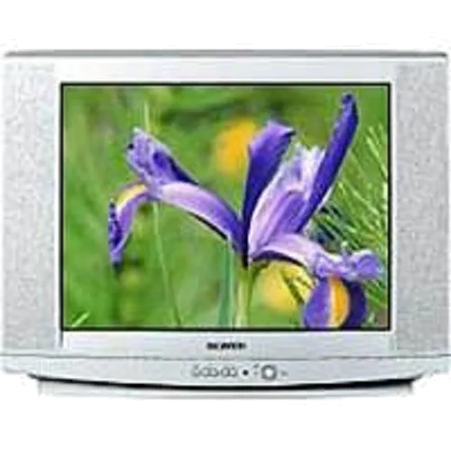 Замена аудиоразъема Samsung CS-29U2 WTR