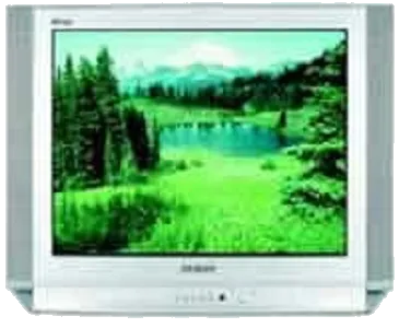 Замена аудиоразъема Samsung CS-29D8 WTR