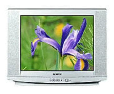 Замена аудиоразъема Samsung CS-29U2 WTQR